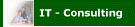 IT-Consulting